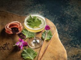 Fizz by Loews Hotels elevates soda culture